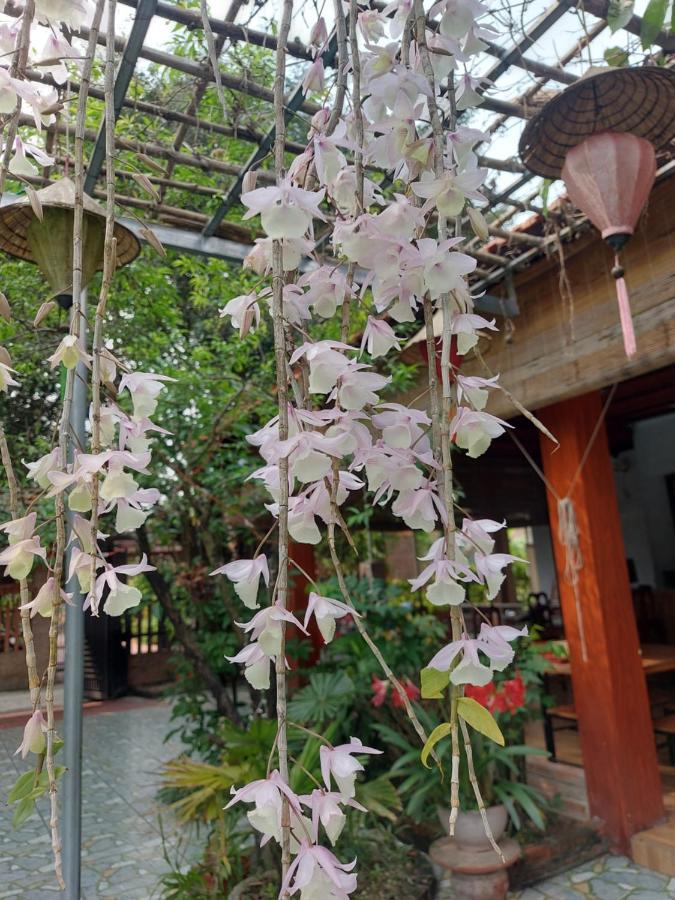 נין בין Trang An Family Homestay מראה חיצוני תמונה